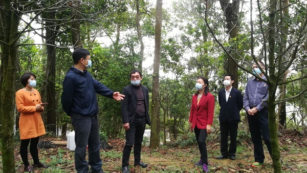 2-市民政局二级巡视员刘慧到料岭墓园等处检查清明工作落实情况.jpg