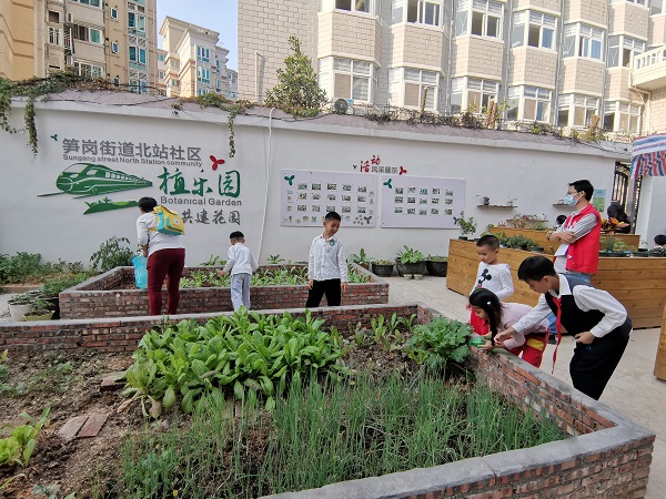 植乐园图.jpg